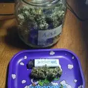 Living soil MultiGrow 3. Runde