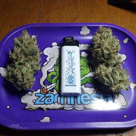 Living soil MultiGrow 3. Runde