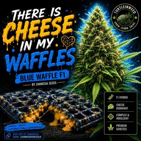 There Is Cheese In My Waffles!