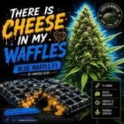 There Is Cheese In My Waffles!