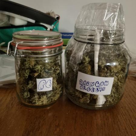 Multi-Grow (rqs: FrSp, PoFl/ zam: RaBe) Photos