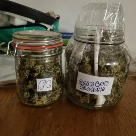 Multi-Grow (rqs: FrSp, PoFl/ zam: RaBe) Photos