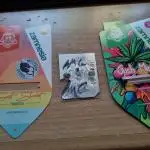 Living soil MultiGrow 3. Runde