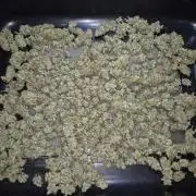 "Purple" Haze clones