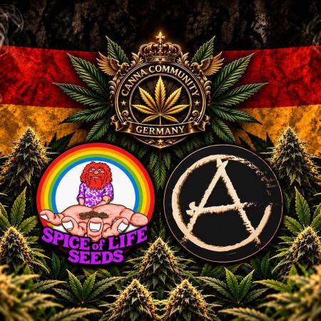 Spritzade (CCG) Seeds of Anarchy