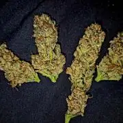 Rainbow Hitter