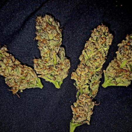 Rainbow Hitter