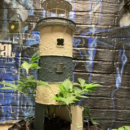 Lighthouse keeper