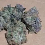 Lemon Cherry Pie
