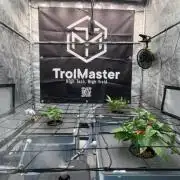 RS11 x Banana OG // 3+1 RDWC // GROWBERT