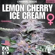 Lemon Cherry Ice Cream x Criminal Seeds