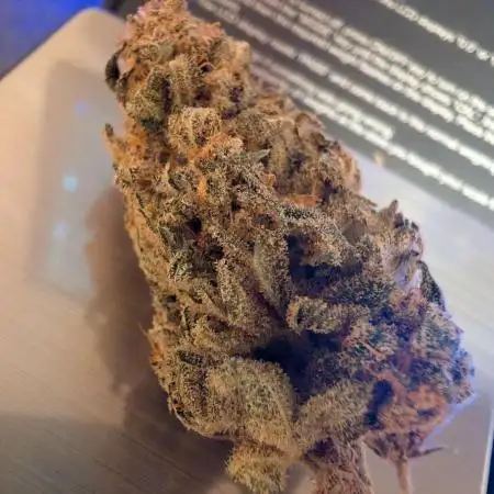 Tropicana Cookies FF Cut V2 x Fast Buds