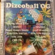 [PHENOHUNT]Dizcoball OG (SSH × Zkittlez)
