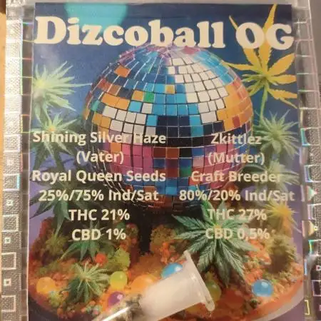 [PHENOHUNT]Dizcoball OG (SSH × Zkittlez)