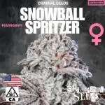 Criminal Seeds x Snowball x Spritzer