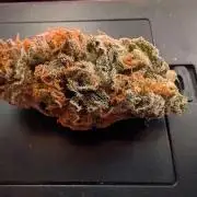 Sticky Broccoli DWC x Eternity Cup 2026