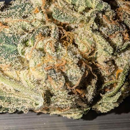 Girl Scout Cookies — Barneys Farm