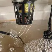 Sticky Broccoli DWC x Eternity Cup 2026