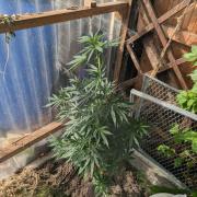 The White Sweet Candy OG One x Outdoor