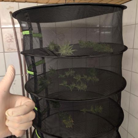 Small Tent, Big Dreams