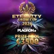 Sticky Broccoli DWC x Eternity Cup 2026