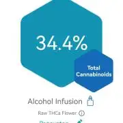 FastBud - Papayton -