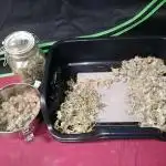 Vanilla Frosting Scrog