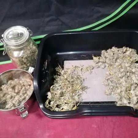 Vanilla Frosting Scrog
