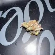 DoSiDos Auto. RQS
