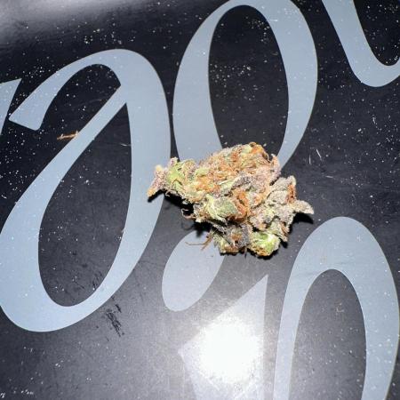 DoSiDos Auto. RQS