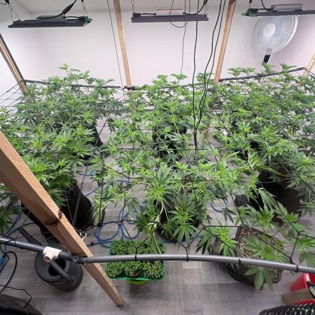 Super Bud Greenhouse