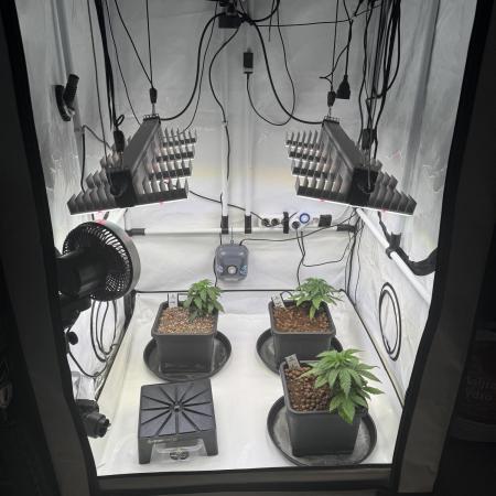Sommergrow 2026