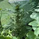 1st outdoor