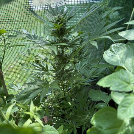 1st outdoor