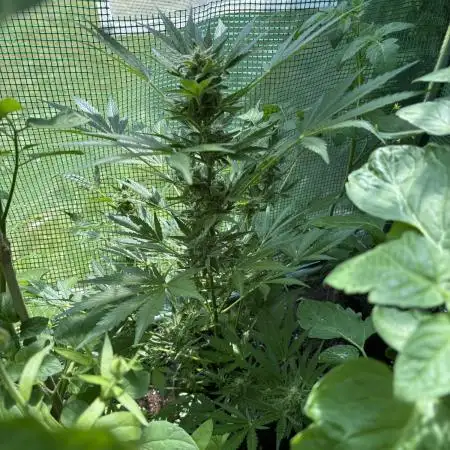 1st outdoor
