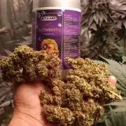 Blackberry Gas Auto🐒Gen. ATAMI Contest