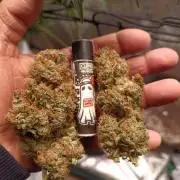 Biscotti Auto 🐒Gen. ATAMI Contest