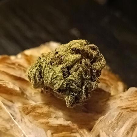 Moon Walker Kush🌚Greenhouse