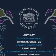 Any Day⛽️🍇🍋