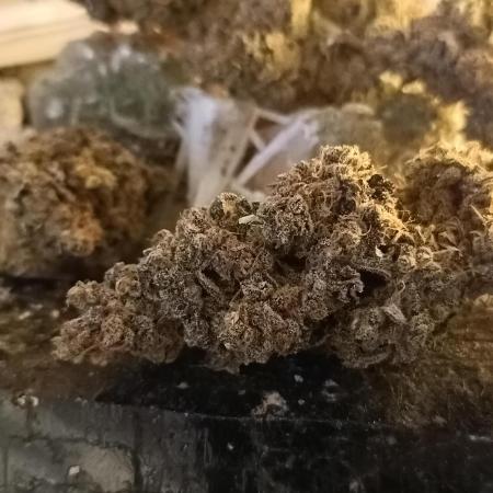 Pink Glitterbomb💣