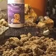 Jack Frost Widow Auto  Monkey Genetics🐒