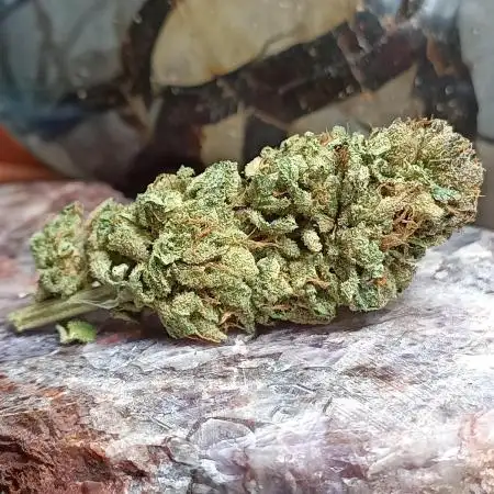 Cookies Gelato 🍪🍦