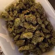 Hella Jelly🍭 Greenhouse