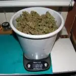 Super Silver Haze 2