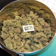 Super Silver Haze 4