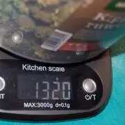 Gorilla Cookies  FF 2