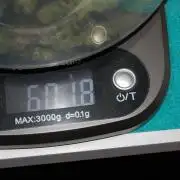 Gorilla Cookies  FF 2