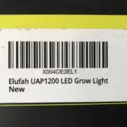 Elufah UAP photo 3rd place winner!