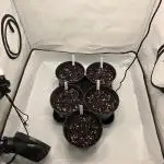 Chaos Grow die zweite