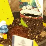 White Truffle Indoor 2025